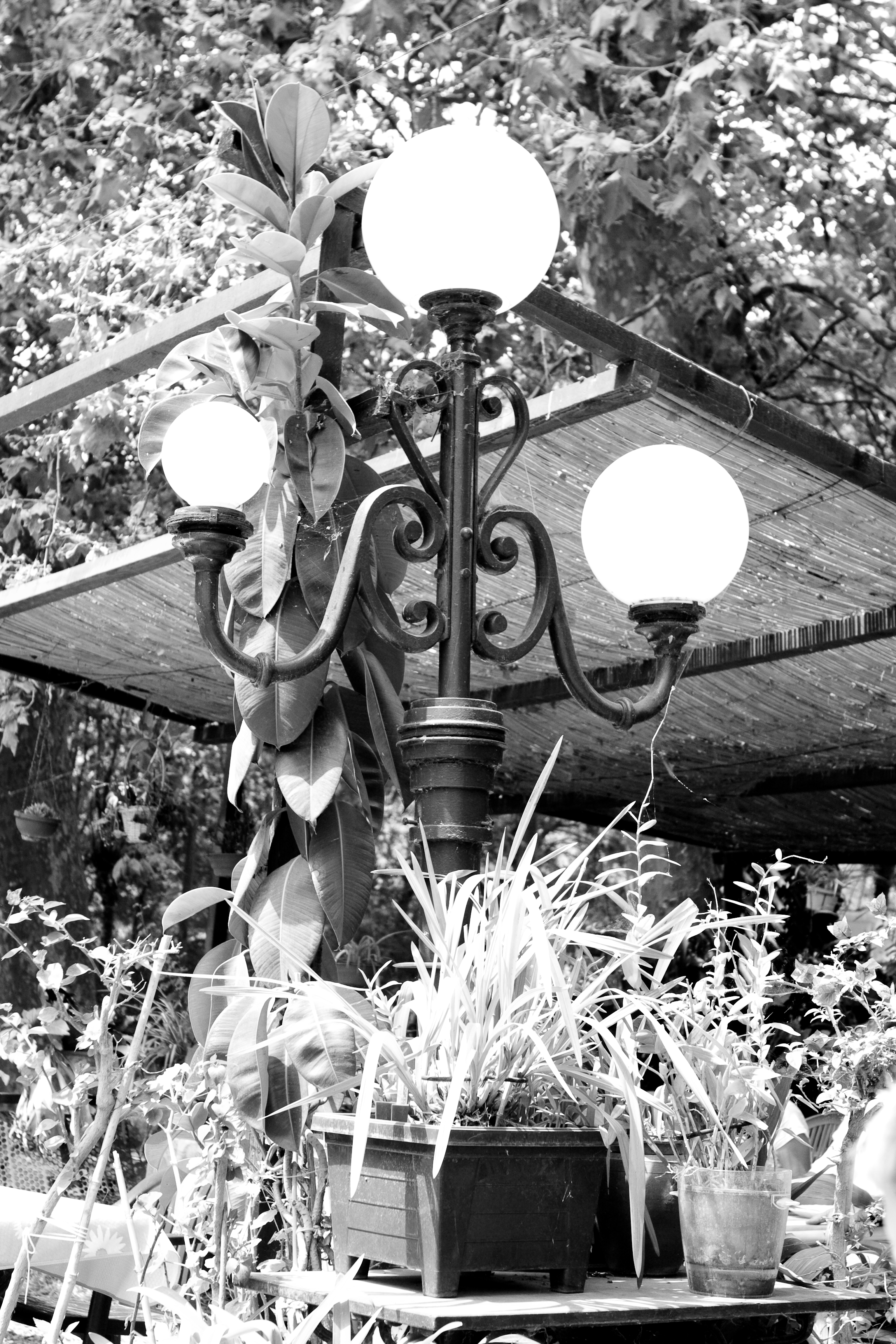 vakantie 2009 het sluisje-005.jpg